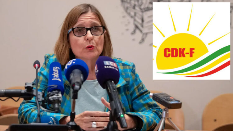 French senator calls for renewed Turkey-Kurdish dialogue, amid Turkish strikes on Rojava