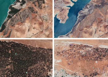 Deforestation alters landscape in Turkish-occupied Afrin