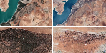 Deforestation alters landscape in Turkish-occupied Afrin