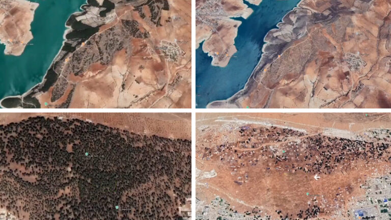 Deforestation alters landscape in Turkish-occupied Afrin