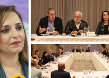 Turkey’s DEM Party slams “evil” presidential advisor for dismissing possibility of peace process