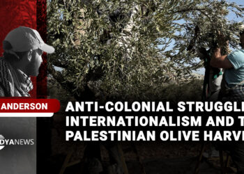 Anti-colonial struggle, internationalism and the Palestinian olive harvest