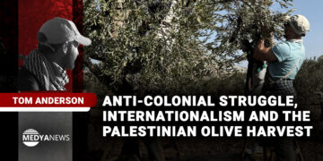 Anti-colonial struggle, internationalism and the Palestinian olive harvest