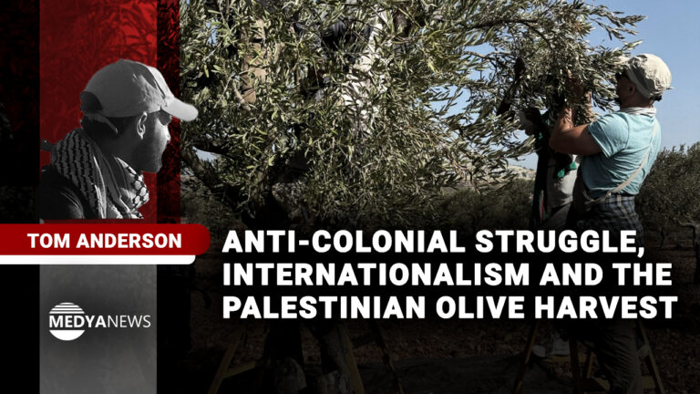 Anti-colonial struggle, internationalism and the Palestinian olive harvest
