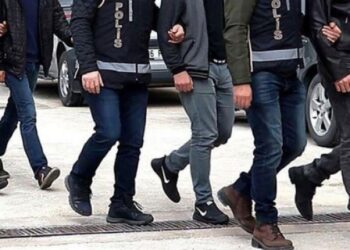 Dozens of activists detained in Turkey as police raids target multiple cities