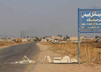 Turkey’s direct attacks, mercenary infiltrations further threaten Syrian stability