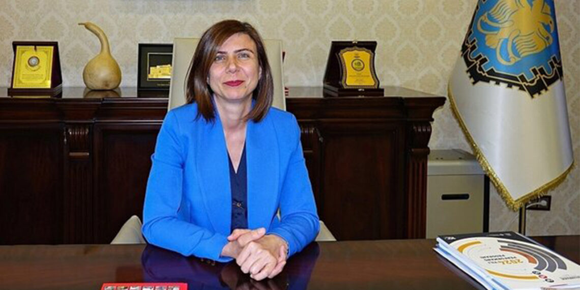 Eight years of neglect: Kurdish mayor exposes legacy of state trustees in Diyarbakır