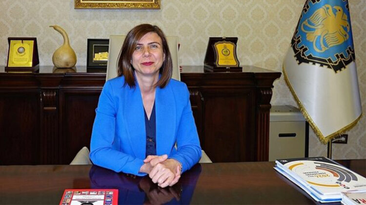 Eight years of neglect: Kurdish mayor exposes legacy of state trustees in Diyarbakır