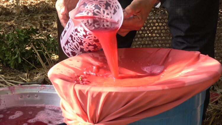 Millennia-old pomegranate sauce tradition thrives in Kurdish regions of Iraq, Iran