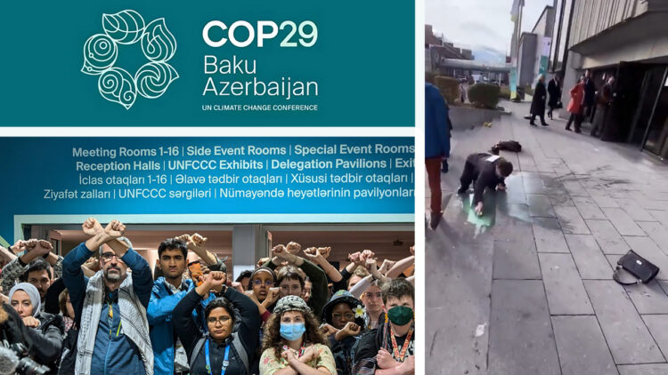 Azerbaijan’s COP29: A theatre for greenwashing
