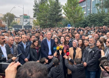 Grassroots demonstrations erupt in Turkey as ‘trustees’ oust elected Kurdish mayors