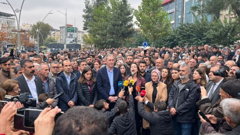 Grassroots demonstrations erupt in Turkey as ‘trustees’ oust elected Kurdish mayors