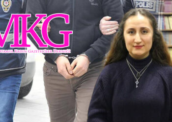 Journalist detentions in Turkey spark rights outcry
