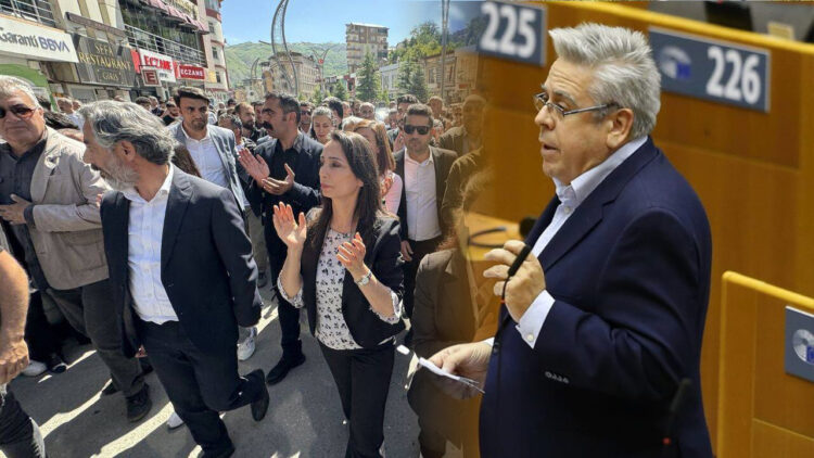 EU Turkey Rapporteur condemns Turkey’s removal of Kurdish mayors