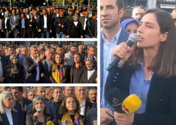 Deposed Co-Mayor Sönük of Batman, Turkey: “We will destroy the system of masculinity”