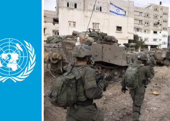 UN committee warns of environmental catastrophe as Israel’s Gaza warfare shows genocide patterns