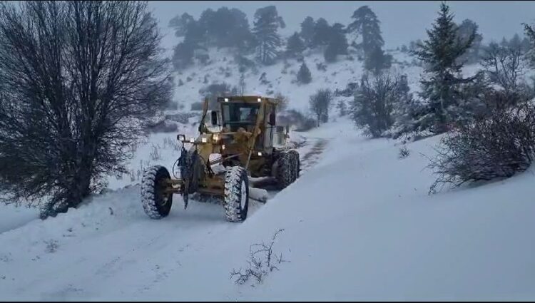 Snow has fallen early this year in SE Turkey’s Diyarbakır (Amed)