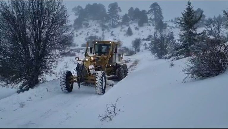 Snow has fallen early this year in SE Turkey’s Diyarbakır (Amed)
