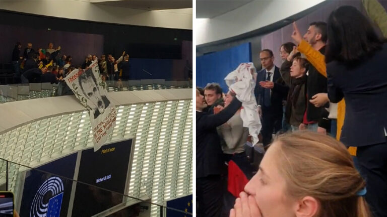 Youth action for Öcalan’s freedom during the Parliamentary session in Strasbourg