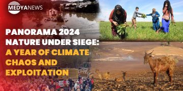 PANORAMA 2024 | Nature under siege: A year of climate chaos and exploitation