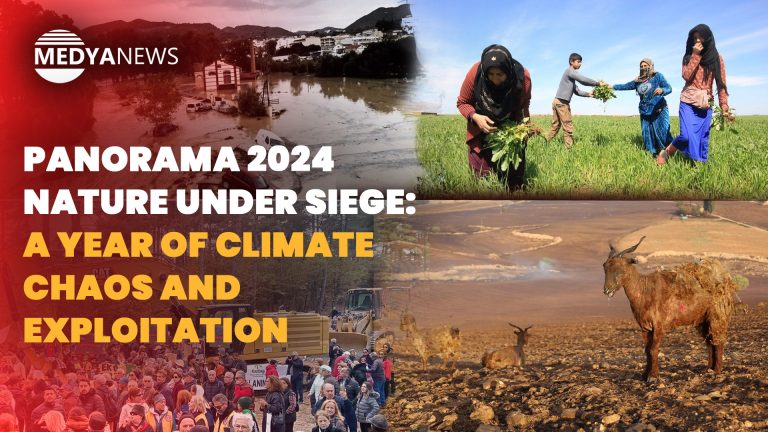 PANORAMA 2024 | Nature under siege: A year of climate chaos and exploitation