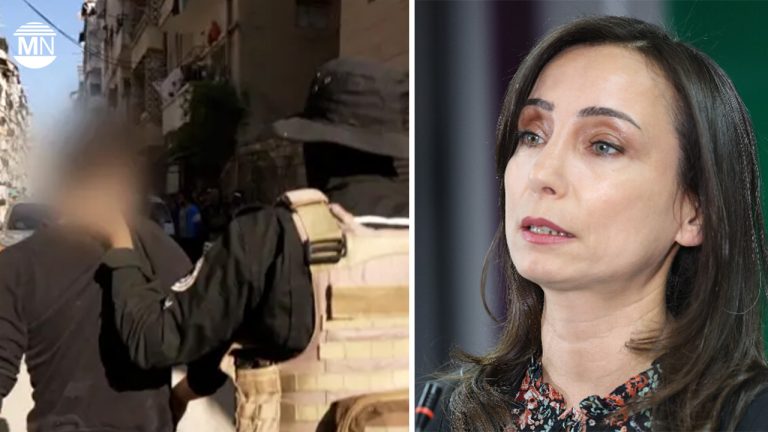DEM Party leaders demand end to Syrian Alevi killings