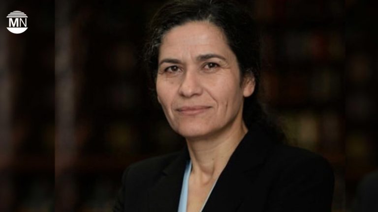 Ilham Ahmed: US, French troops could secure border in northern Syria