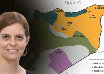 MEP condemns Turkish attacks in North & East Syria, calls for no-fly zone