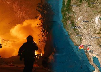 Wind-driven wildfires force mass evacuations in Los Angeles
