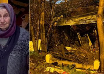 Turkey: Ankara woman dies after protesting dog removal, activists suspect murder