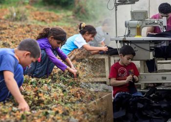 Report highlights alarming rise in child labour, fatalities in Turkey