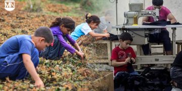 Report highlights alarming rise in child labour, fatalities in Turkey