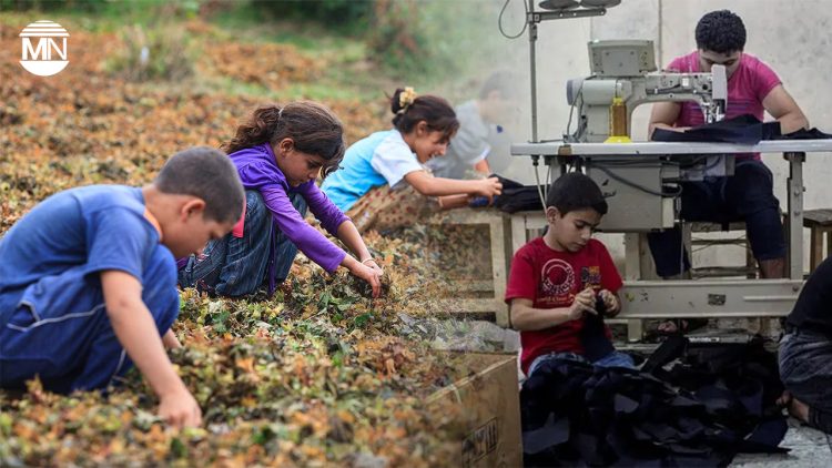 Report highlights alarming rise in child labour, fatalities in Turkey