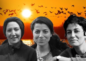 Amnesty International warns of urgent threat to Kurdish activists Pakhshan Azizi, Warisheh Moradi