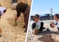 Sinjar: Yazidi women plant trees for Abdullah Öcalan’s birthday