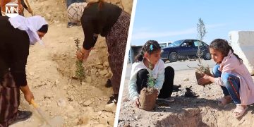 Sinjar: Yazidi women plant trees for Abdullah Öcalan’s birthday