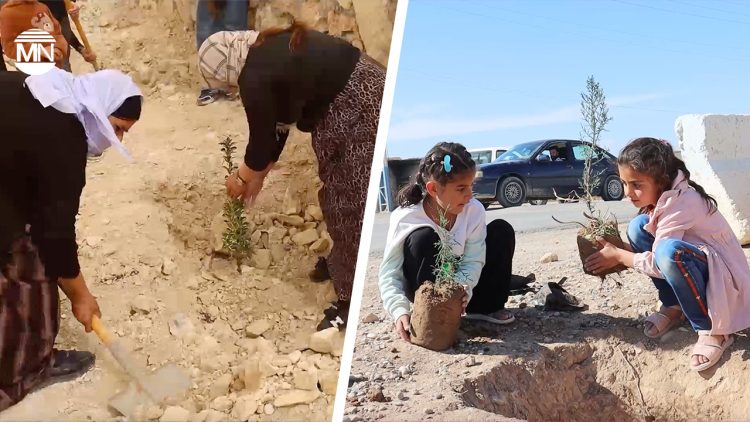 Sinjar: Yazidi women plant trees for Abdullah Öcalan’s birthday
