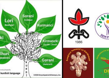 Calls grow for Kurdish to become an official and educational language in Turkey