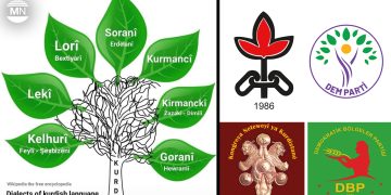Calls grow for Kurdish to become an official and educational language in Turkey