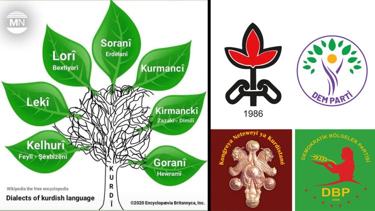 Calls grow for Kurdish to become an official and educational language in Turkey