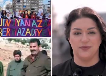 Cansu Özdemir: PKK’s dissolution demonstrates ‘will for peace’
