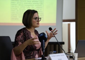 Kurdish and Sami language advocates demand official recognition to counter assimilation