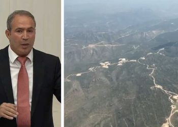‘State-led ecocide in Turkey’s southeast cannot be called peace’: Kurdish MP