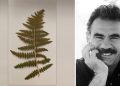 Öcalan says science of jineology advances his unfinished project on women’s freedom