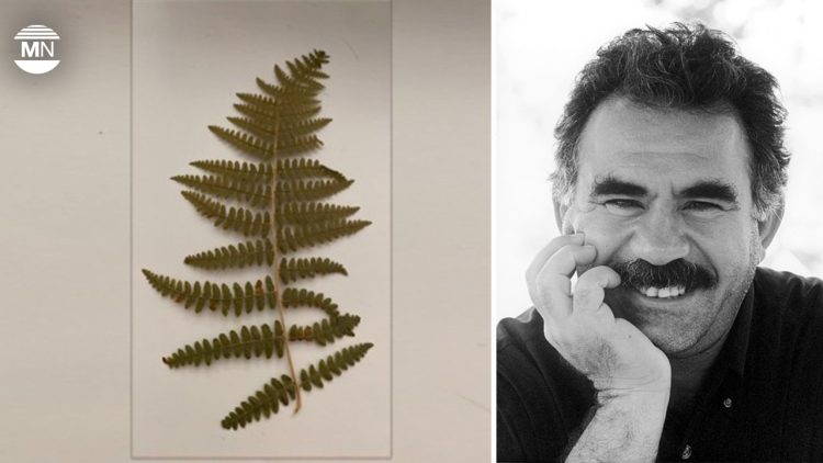 Öcalan says science of jineology advances his unfinished project on women’s freedom