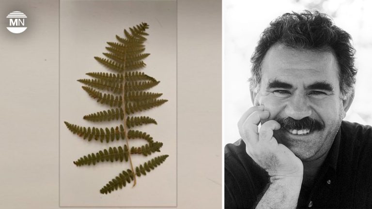Öcalan says science of jineology advances his unfinished project on women’s freedom