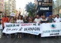 Environmental orgs across Turkey demand annulment of law threatening olive groves