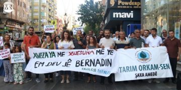 Environmental orgs across Turkey demand annulment of law threatening olive groves