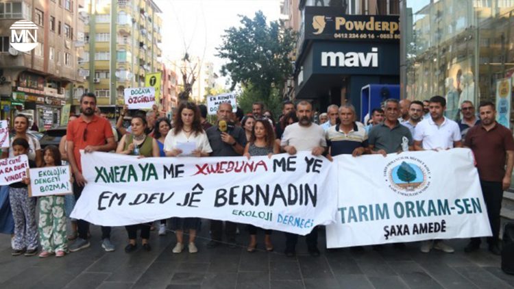 Environmental orgs across Turkey demand annulment of law threatening olive groves