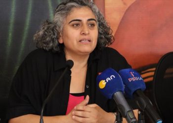 Turkey must act to move peace process forward, says Kurdish activist Tuncel